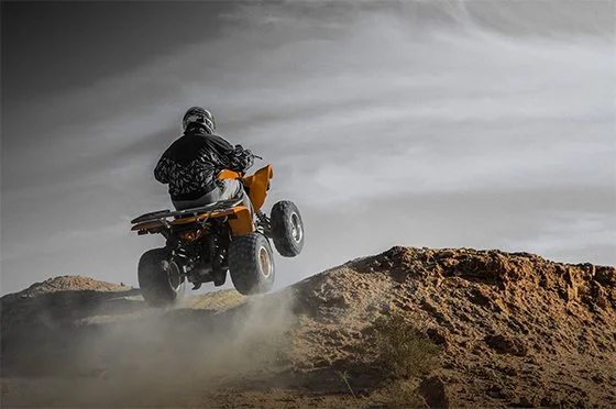 Balade Quad à la Palmeraie