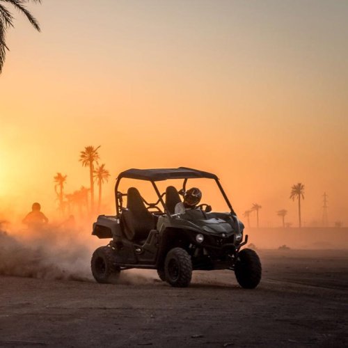 Buggy Ride in the Palm Grove